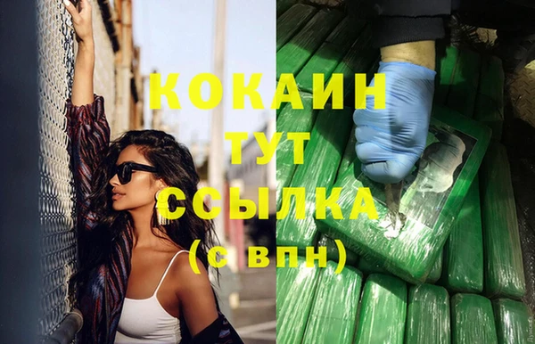гидра Краснослободск