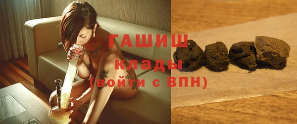 гидра Краснослободск