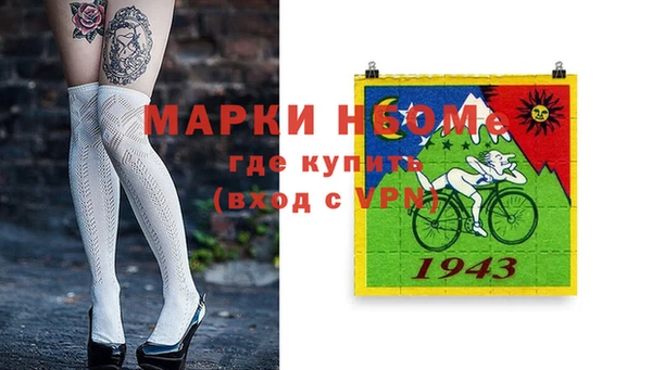 гидра Краснослободск