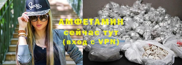 гидра Краснослободск