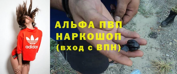 гидра Краснослободск